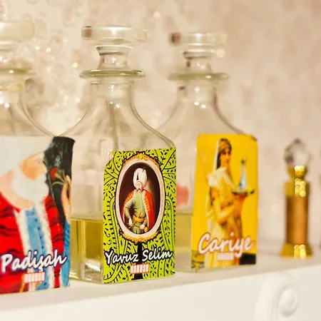 Hotel Esans - Special Category