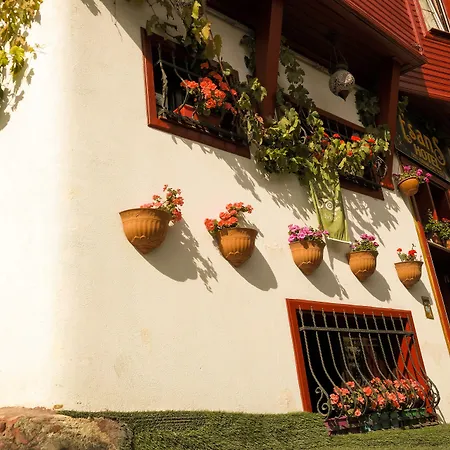 Esans - Special Category 3*